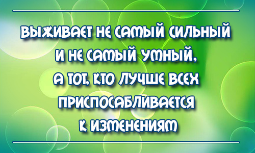 Никаких целей. Никакая цель не высока настолько. Никакой цели. Никакая цель не оправдывает средства. У меня никаких цель.